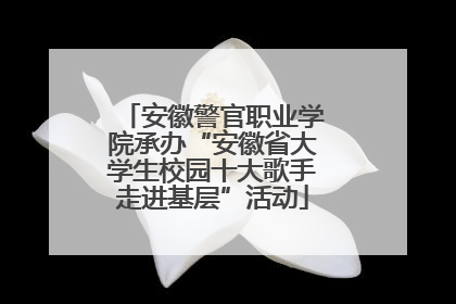 安徽警官职业学院承办“安徽省大学生校园十大歌手走进基层”活动