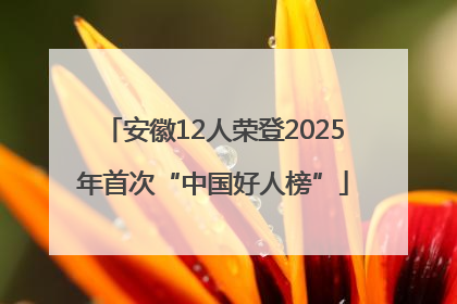安徽12人荣登2025年首次“中国好人榜”