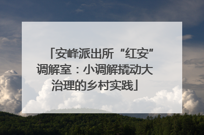 安峰派出所“红安”调解室：小调解撬动大治理的乡村实践