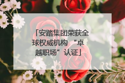 安踏集团荣获全球权威机构 “卓越职场”认证