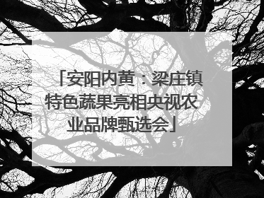 安阳内黄：梁庄镇特色蔬果亮相央视农业品牌甄选会