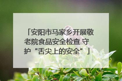 安阳市马家乡开展敬老院食品安全检查 守护“舌尖上的安全”