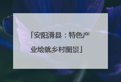 安阳滑县：特色产业绘就乡村图景