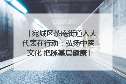 宛城区茶庵街道人大代表在行动：弘扬中医文化 把脉基层健康