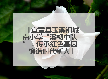 宜章县玉溪镇城南小学“溪韧中队”：传承红色基因 锻造时代新人