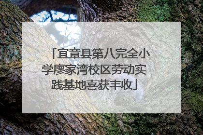 宜章县第八完全小学廖家湾校区劳动实践基地喜获丰收