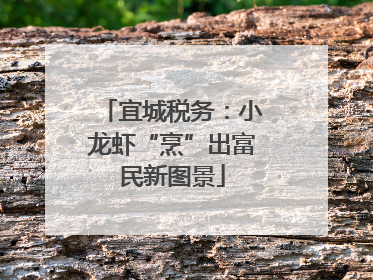 宜城税务：小龙虾“烹”出富民新图景