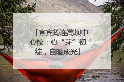 宜宾筠连蒿坝中心校：心“芽”初绽，自暖成光