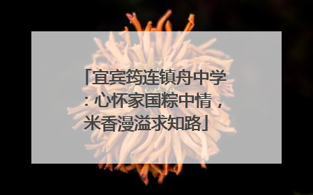 宜宾筠连镇舟中学：心怀家国粽中情，米香漫溢求知路