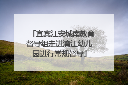 宜宾江安城南教育督导组走进淯江幼儿园进行常规督导
