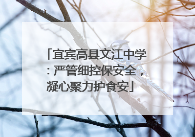 宜宾高县文江中学：严管细控保安全，凝心聚力护食安