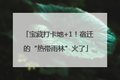 宝藏打卡地+1！宿迁的“热带雨林”火了