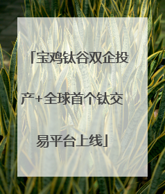 宝鸡钛谷双企投产+全球首个钛交易平台上线
