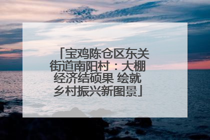 宝鸡陈仓区东关街道南阳村：大棚经济结硕果 绘就乡村振兴新图景