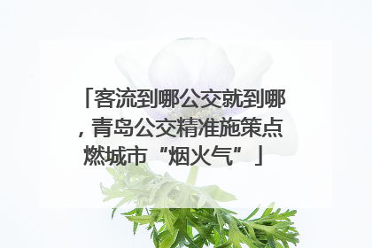 客流到哪公交就到哪，青岛公交精准施策点燃城市“烟火气”