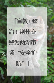 宣教+整治！荆州交警为两湖市场“安全护航”