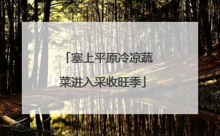 塞上平原冷凉蔬菜进入采收旺季
