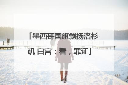 墨西哥国旗飘扬洛杉矶 白宫：看，罪证