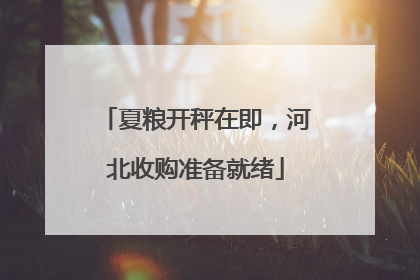 夏粮开秤在即，河北收购准备就绪