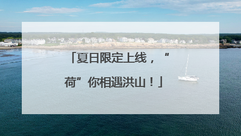 夏日限定上线，“荷”你相遇洪山！