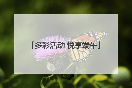 多彩活动 悦享端午