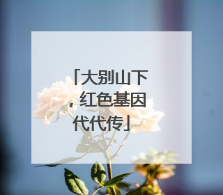 大别山下，红色基因代代传