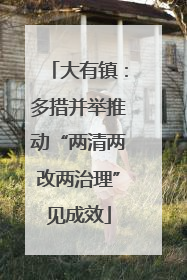 大有镇：多措并举推动“两清两改两治理”见成效