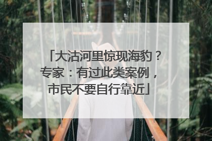 大沽河里惊现海豹？专家：有过此类案例，市民不要自行靠近