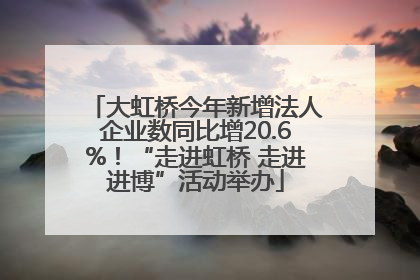 大虹桥今年新增法人企业数同比增20.6%！“走进虹桥 走进进博”活动举办