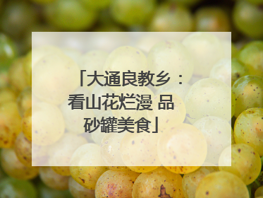 大通良教乡：看山花烂漫 品砂罐美食