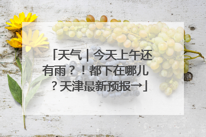 天气｜今天上午还有雨？！都下在哪儿？天津最新预报→