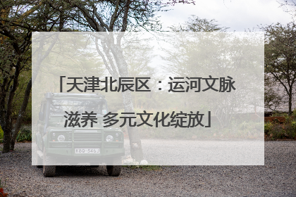 天津北辰区：运河文脉滋养 多元文化绽放