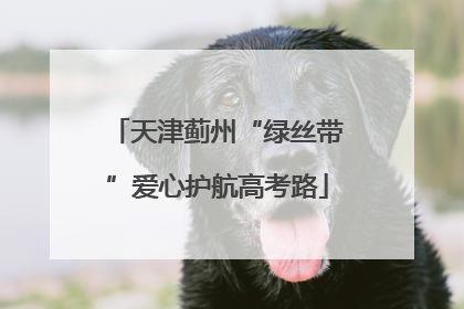 天津蓟州“绿丝带”爱心护航高考路