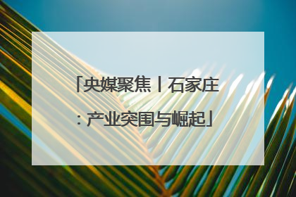 央媒聚焦丨石家庄：产业突围与崛起