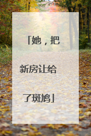 她，把新房让给了斑鸠