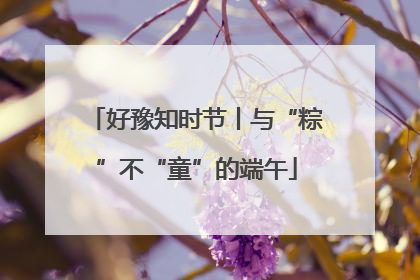 好豫知时节丨与“粽”不“童”的端午