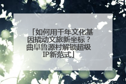 如何用千年文化基因撬动文旅新坐标？曲阜鲁源村解锁超级IP新范式