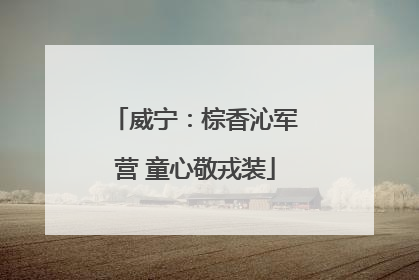 威宁：棕香沁军营 童心敬戎装