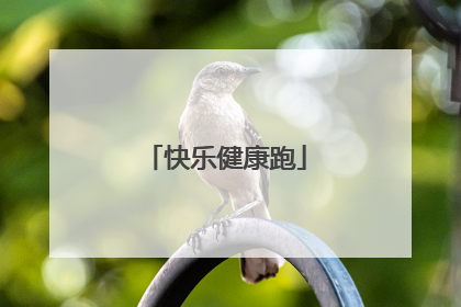 快乐健康跑