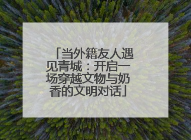 当外籍友人遇见青城：开启一场穿越文物与奶香的文明对话