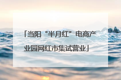 当阳“半月红”电商产业园网红市集试营业