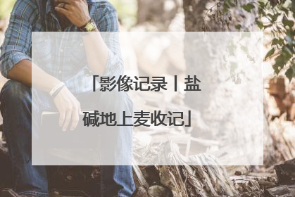 影像记录丨盐碱地上麦收记