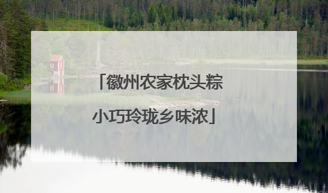 徽州农家枕头粽 小巧玲珑乡味浓