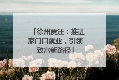 徐州贾汪：推进家门口就业，引领致富新路径