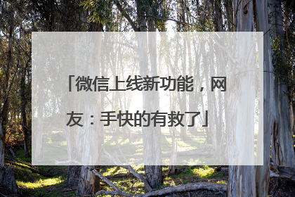 微信上线新功能，网友：手快的有救了