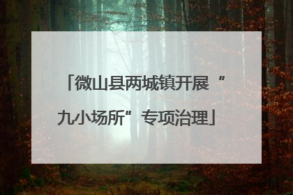 微山县两城镇开展“九小场所”专项治理