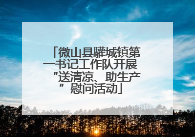 微山县驩城镇第一书记工作队开展“送清凉、助生产”慰问活动