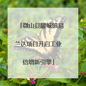 微山县驩城镇易兰达项目开启工业倍增新引擎