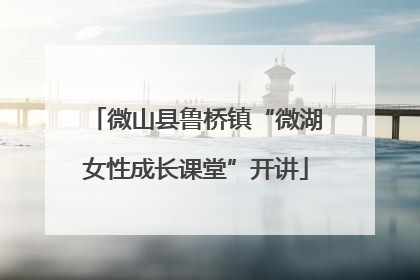 微山县鲁桥镇“微湖女性成长课堂”开讲
