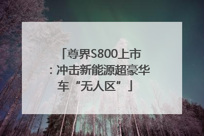 尊界S800上市：冲击新能源超豪华车“无人区”
